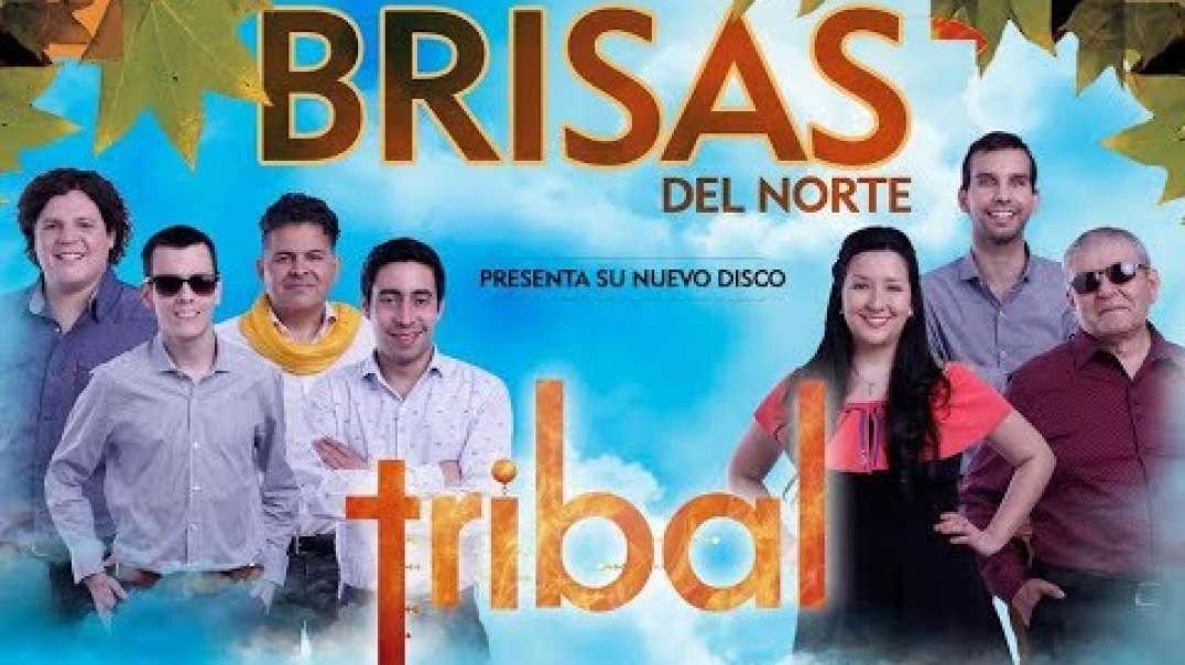 Brisas del Norte - Lloro